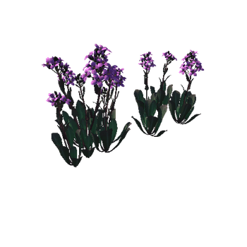 Flower Daggerpod1_1
